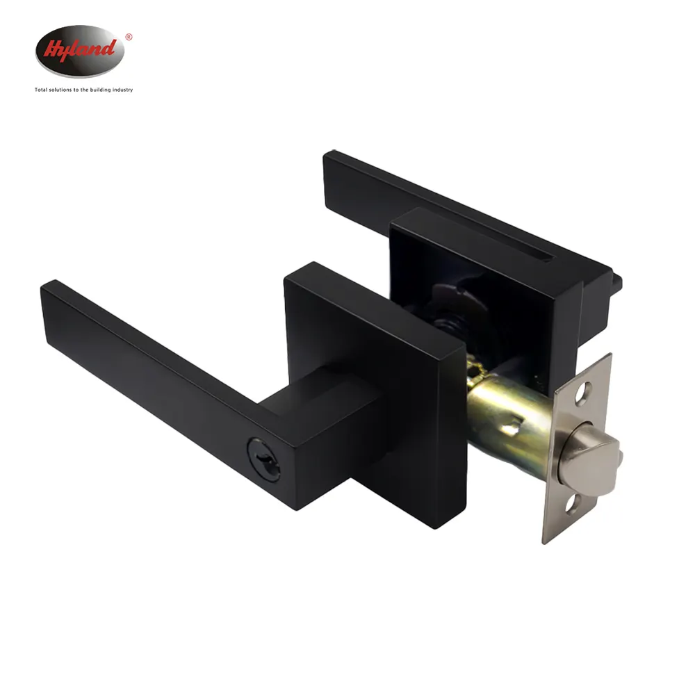 Stainless steel lever handle lock set on backplate